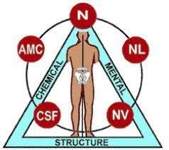 Grov Kinesiology